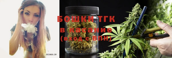 гашик Тобольск