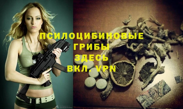 шишки Тихвин
