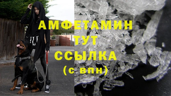 шишки Тихвин