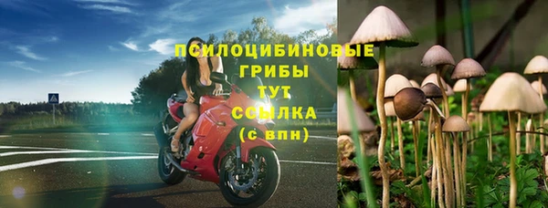 герыч Тайга